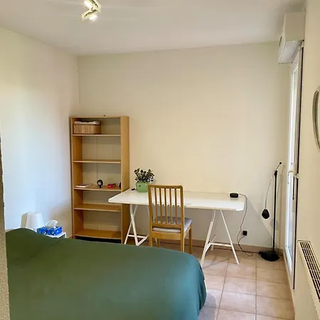 Grand Balcon Avec Vue Sur Garonne En Centre Toulouse