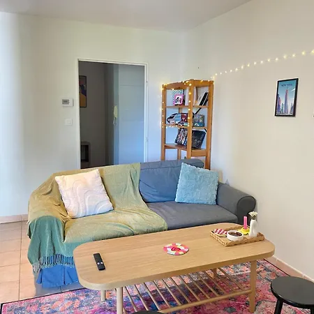 Grand Balcon Avec Vue Sur Garonne En Centre Apartment Toulouse