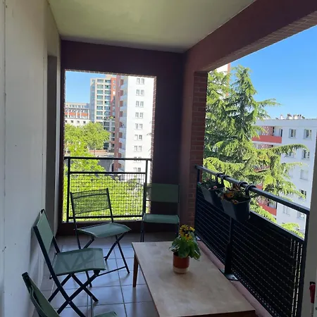 Grand Balcon Avec Vue Sur Garonne En Centre *