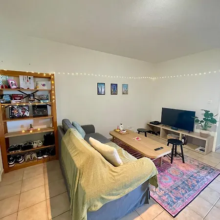 Grand Balcon Avec Vue Sur Garonne En Centre *