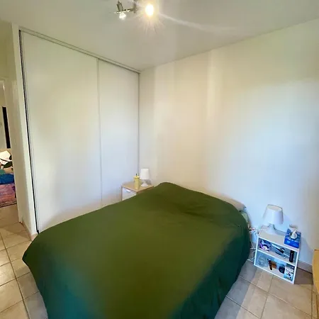 Grand Balcon Avec Vue Sur Garonne En Centre Apartment Toulouse