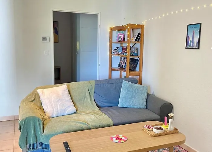 Grand Balcon Avec Vue Sur Garonne En Centre Apartment Toulouse