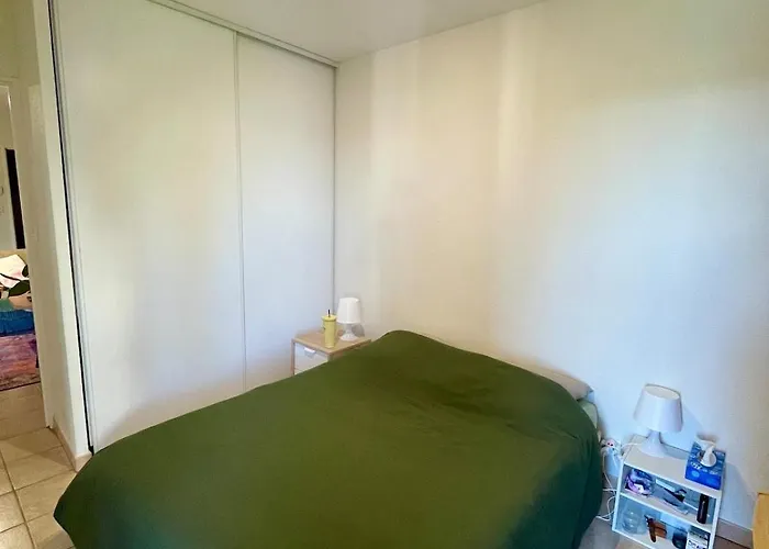 Grand Balcon Avec Vue Sur Garonne En Centre Apartment Toulouse